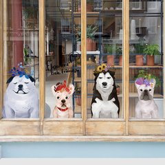 Ethereum钱包安卓版